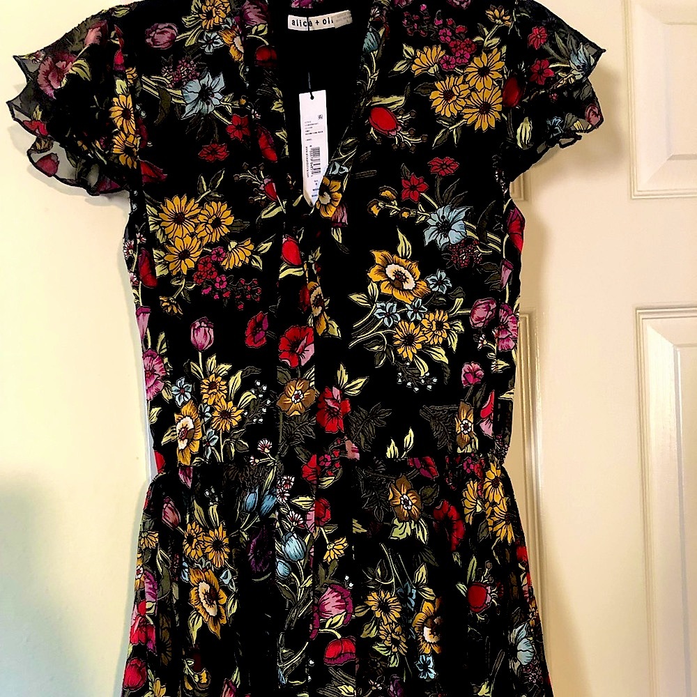 Alice and Olivia size 0 dress